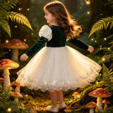 2-8Y Kid Baby Girls Autumn Winter Dark Green Long Sleeve Bubble Sleeve Party Dresses