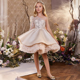 Kid Girl Princess Sequined Catwalk Bow Tutu Dresses