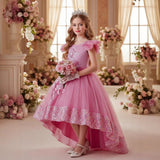 Kid Girls Princess Decal Mesh Fluffy Flowers Dresses