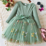 Kid Baby Girl Flower Embroidered Mesh Princess Christmas Dresses