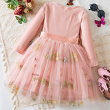 Kid Baby Girl Flower Embroidered Mesh Princess Christmas Dresses