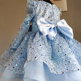 Kid Girl Fluffy Gauze Flower Girl Catwalk Princess Dresses