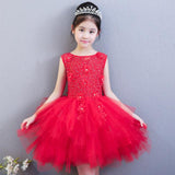 Kid Girls Evening Princess Trailing Wedding Tutu Host Dresses