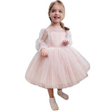 Kid Girl Flower Polka Dot Lace Mesh Long Sleeve Dress