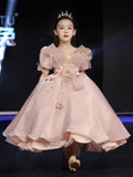 Kid Girl Princess Fluffy Pink Show Flower Piano Performance Dresses