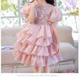 Kid Baby Girl Princess Pink Pooper Gauze Evening  Performance Cake Dresses