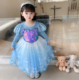 Kid Girl Princess Temperament  Frozen Elsa Long Sleeves Dresses