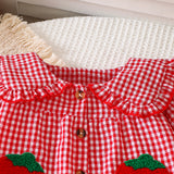 6M-3Y Baby Girl Plaid Strawberry Patch Doll Collar Long Sleeve Lace Sleeve Pajamas