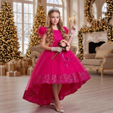 Kid Girls Princess Decal Mesh Fluffy Flowers Dresses