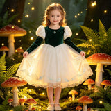 2-8Y Kid Baby Girls Autumn Winter Dark Green Long Sleeve Bubble Sleeve Party Dresses