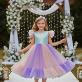 Kid Girls Colorful Mesh Birthday Party Wedding Dress