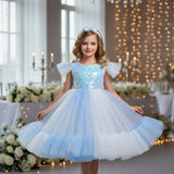 Kid Girls Colorful Mesh Birthday Party Wedding Dress