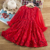 Kid Baby Girl Spring Embroidered Lace Flower Long-sleeved Dresses