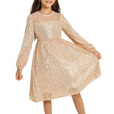 Kid Girls Sequins Party Long Sleeve Show Christmas Dance Dress