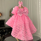 Kid Girl Pink Rose Flower European American Princess Dresses