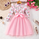 Kid Girls Long Sleeve Lapel Floral Mesh Dress