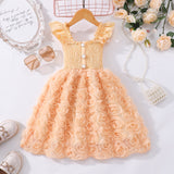 Kid Girl Summer Flying Sleeve Rose Photography Princess Dress