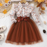 Kid Girls Long Sleeve Lapel Floral Mesh Dress
