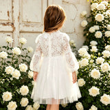1-6T Kid Baby Girls Lace Princess Performance Flower Dresses