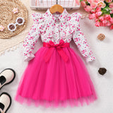 Kid Girls Long Sleeve Lapel Floral Mesh Dress