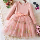 Kid Baby Girl Flower Embroidered Mesh Princess Christmas Dresses