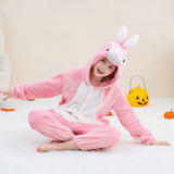 3-12Y Kid Boy Girl Flannel Cartoon Animal One-piece Pajamas