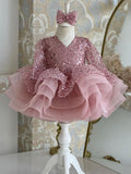 Kid Girls Princess Pink Sequin Long Sleeve Dresses