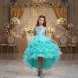Kid Girls Bronzing Embroidery Trailing Performance Dress