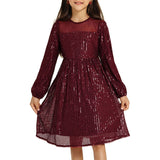 Kid Girls Sequins Party Long Sleeve Show Christmas Dance Dress