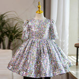 Kid Baby Girl Silver Tutu European American Princess Dresses