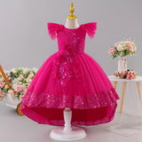 Kid Girls Princess Decal Mesh Fluffy Flowers Dresses
