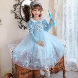 Kid Girl Winter Princess Elsa Frozen Long Sleeve Dresses