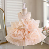 Baby Girl Princess Fluffy Cake Performance Dress