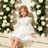 1-6T Kid Baby Girls Lace Princess Performance Flower Dresses