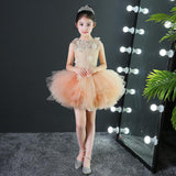 Kid Girls Evening Princess Trailing Wedding Tutu Host Dresses