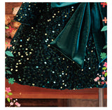 2-6Y Kid Baby Girls Sequined Velvet  Long Sleeve Big Bow Fluffy Princess Dresses