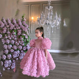 6M-12T Kid Baby Girls Three-dimensional Flower Princess Catwalk  Dress