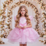 Kid Girls Wedding Cake Princess Dresses