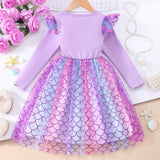 Kid Girl Long Sleeve Crew Neck Mermaid Mesh Dresses
