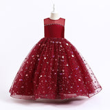 4-14Y Kid Girl Princess Flower Wedding Embroidered Piano Performance Dress