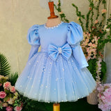 Kid Baby Girls Blue Fluffy Yarn Long Sleeve Princess Dress