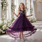 Kid Girl Bronzing Embroidered Mesh Wedding Flower Tutu Dresses