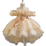 3-12T Kid Girl Princess Flower Wedding Fluffy Dress