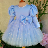 Kid Baby Girls Blue Fluffy Yarn Long Sleeve Princess Dress