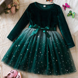 Kid Girls Long-sleeved Korean Stars Gradually Mesh Princess Dresses