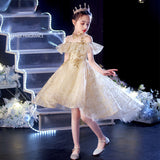 Kid Girls Evening Princess Sweet Host Piano Catwalk Flower Dresses