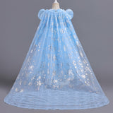 Kid Baby Girl Snow Ice Princess Aisha Long Sleeve Cinderella Dress