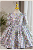 Kid Baby Girl Silver Tutu European American Princess Dresses