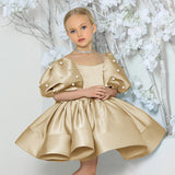 2-8T Kid Baby Girl Birthday Party Walk Show Princess Flower Wedding Dress
