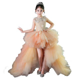 Kid Girls Evening Princess Trailing Wedding Tutu Host Dresses